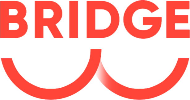 Bridge Payments Logo Small